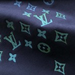 Louis Vuitton Embroidered Cotton Sweatshirt 1AFVBC