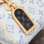 Louis Vuitton Multicolor Beige Speedy Bandoulière 20 M24709