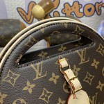 Louis Vuitton Monogram canvas Around Me PM M47117