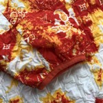 Louis Vuitton Monogram Bandana Windbreaker 1AA7H9