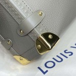 Louis Vuitton Grained calf leather Side Trunk MM M25072