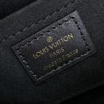 Louis Vuitton Monogram Canvas Camera Box M82465