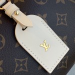 LV Monogram Canvas Petite Malle Souple M45532