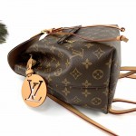 LV Monogram Canvas Montsouris PM Backpack M45501