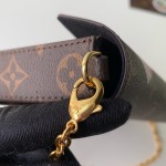 LV Pochette Felicie Monogram canvas bag M61276