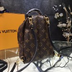 LV palm springs backpack mini monogram canvas M41562