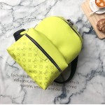 LV Monogram Discovery Backpack PM M30238