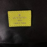 LV Monogram Discovery Backpack PM M30238