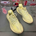 Yeezy Boost 350 V2 Antlia 