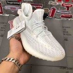 Yeezy Boost 350 V2 Wave Runner Reflective